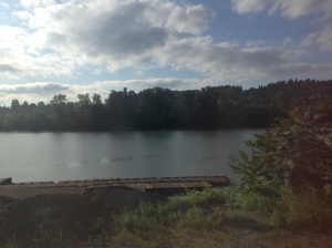 The view from the Amtrak train 